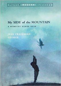 Puffin Modern Classics edition of My Side of the Mountain - silhouette of boy releasing a hawk into the air.