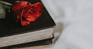 red rose on a stack of books
